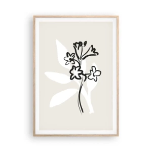 Pôster com moldura de carvalho claro - Esboço para o herbário - 70x100 cm