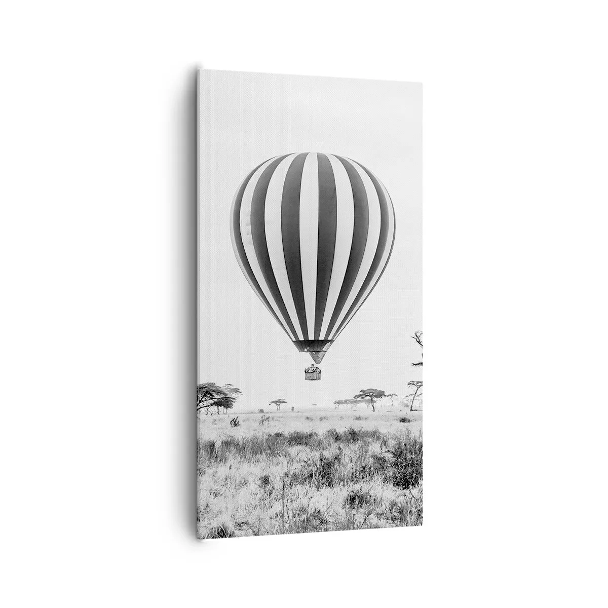 Quadro em tela - Sobre a savana - 65x120 cm