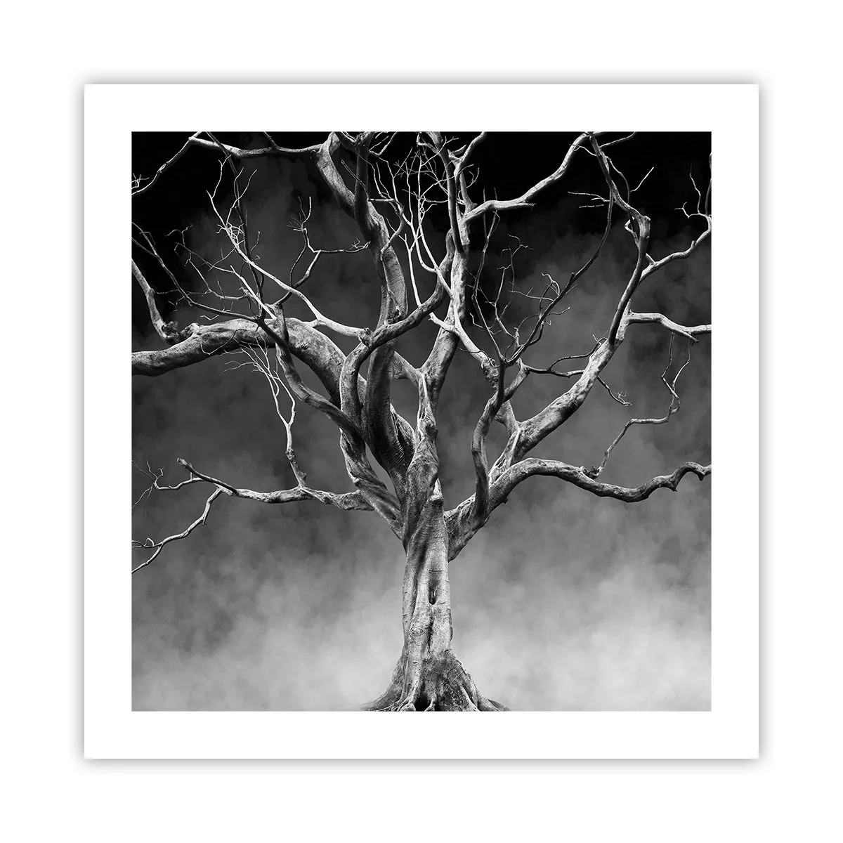 Pôster - Primitivo e sagrado - 50x50 cm