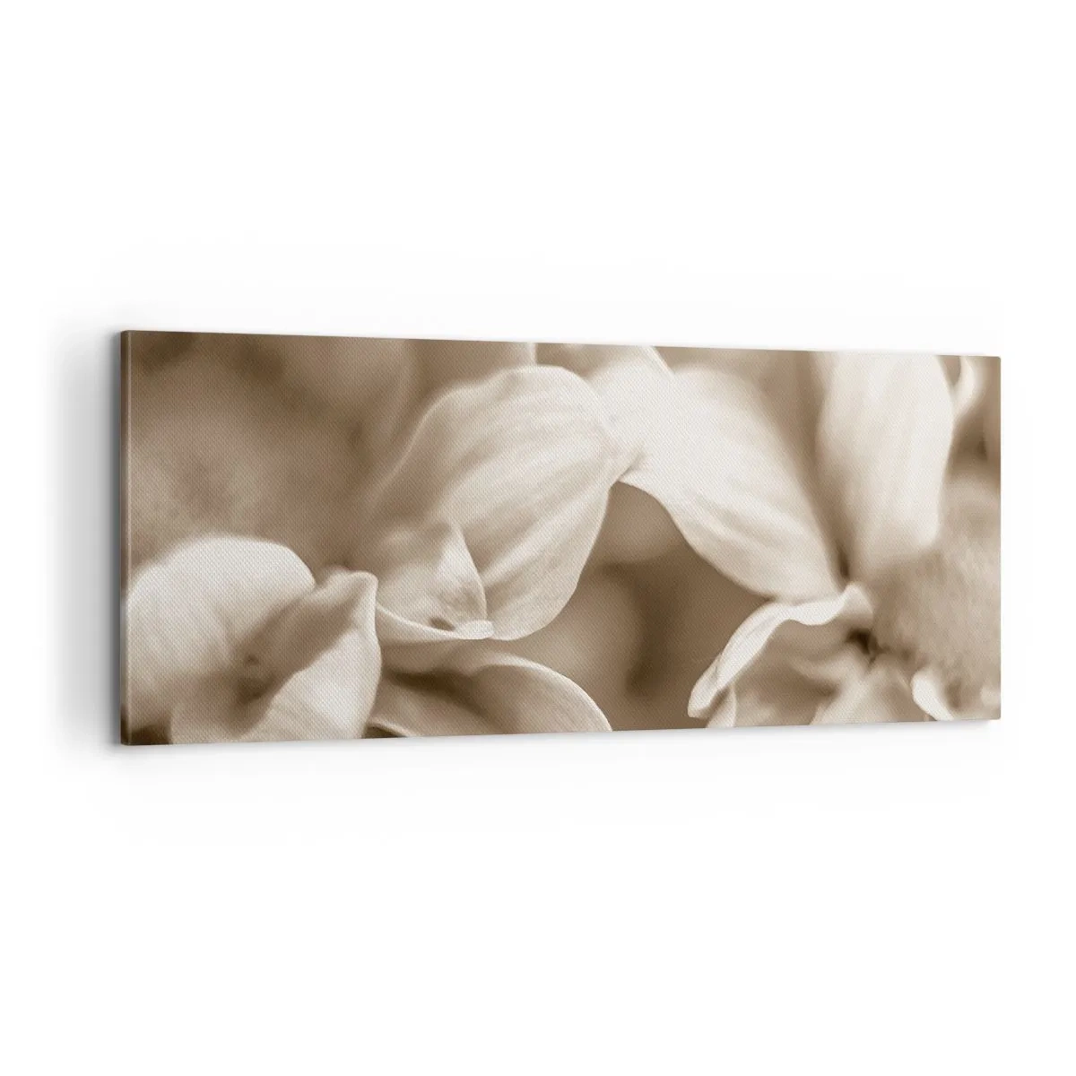 Quadro em tela - Gentil como um sorriso - 100x40 cm