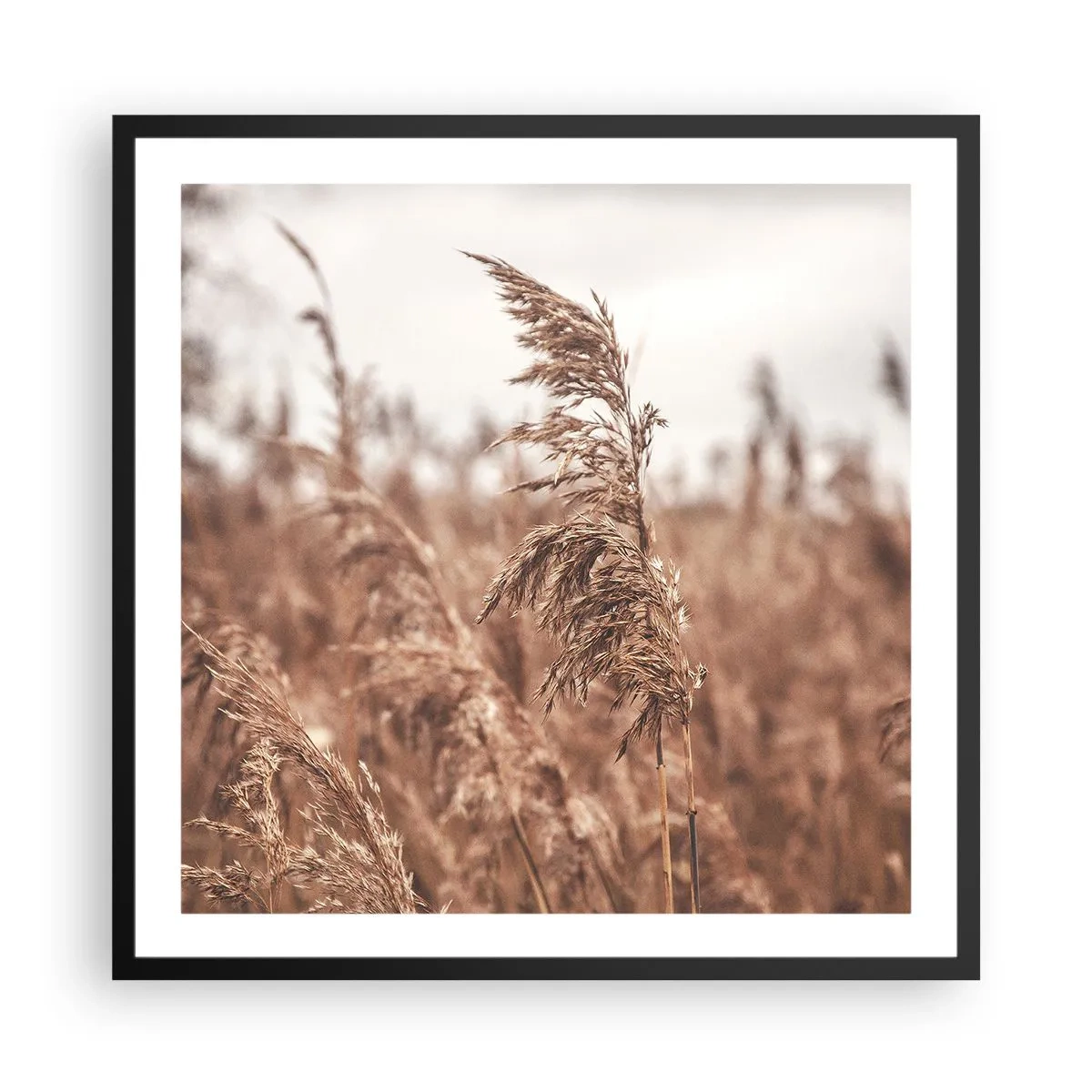 Pôster com moldura preta - O outono já chegou ao campo - 60x60 cm