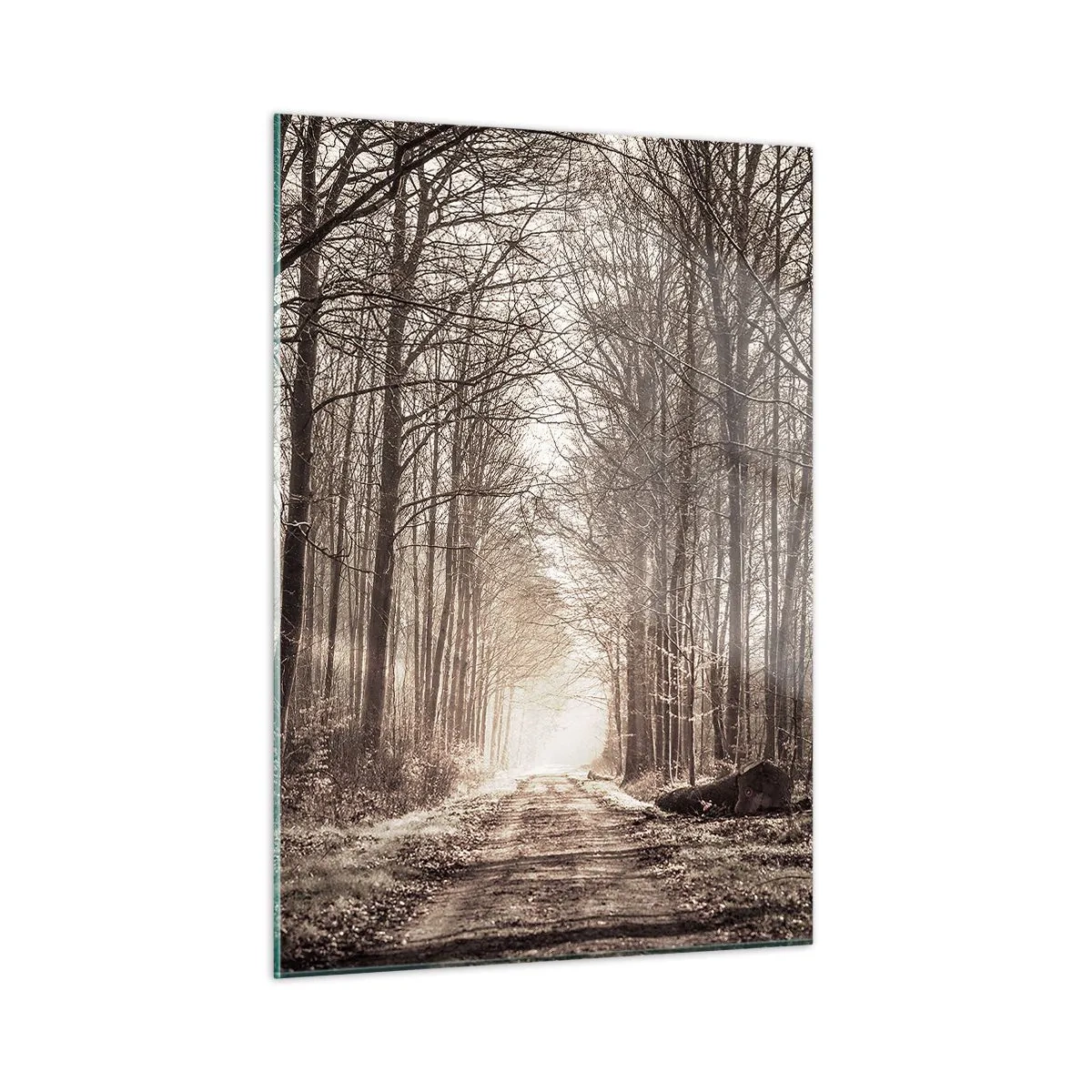 Quadro em vidro - Catedral na Floresta - 50x70 cm