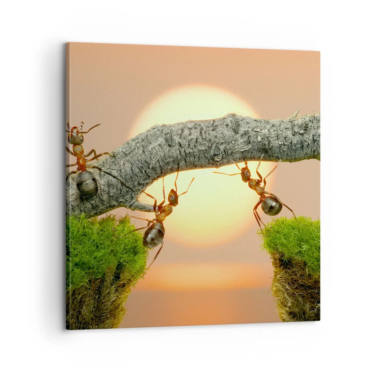 Quadro em tela - Trabalho alegre e colaborativo - 60x60 cm