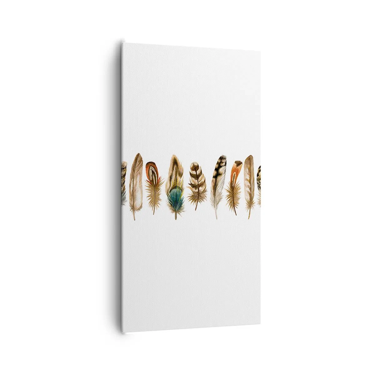 Quadro em tela - Variações de penas - 65x120 cm