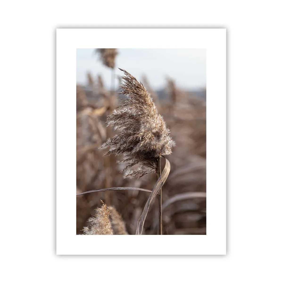 Pôster - É hora de voar com o vento - 30x40 cm