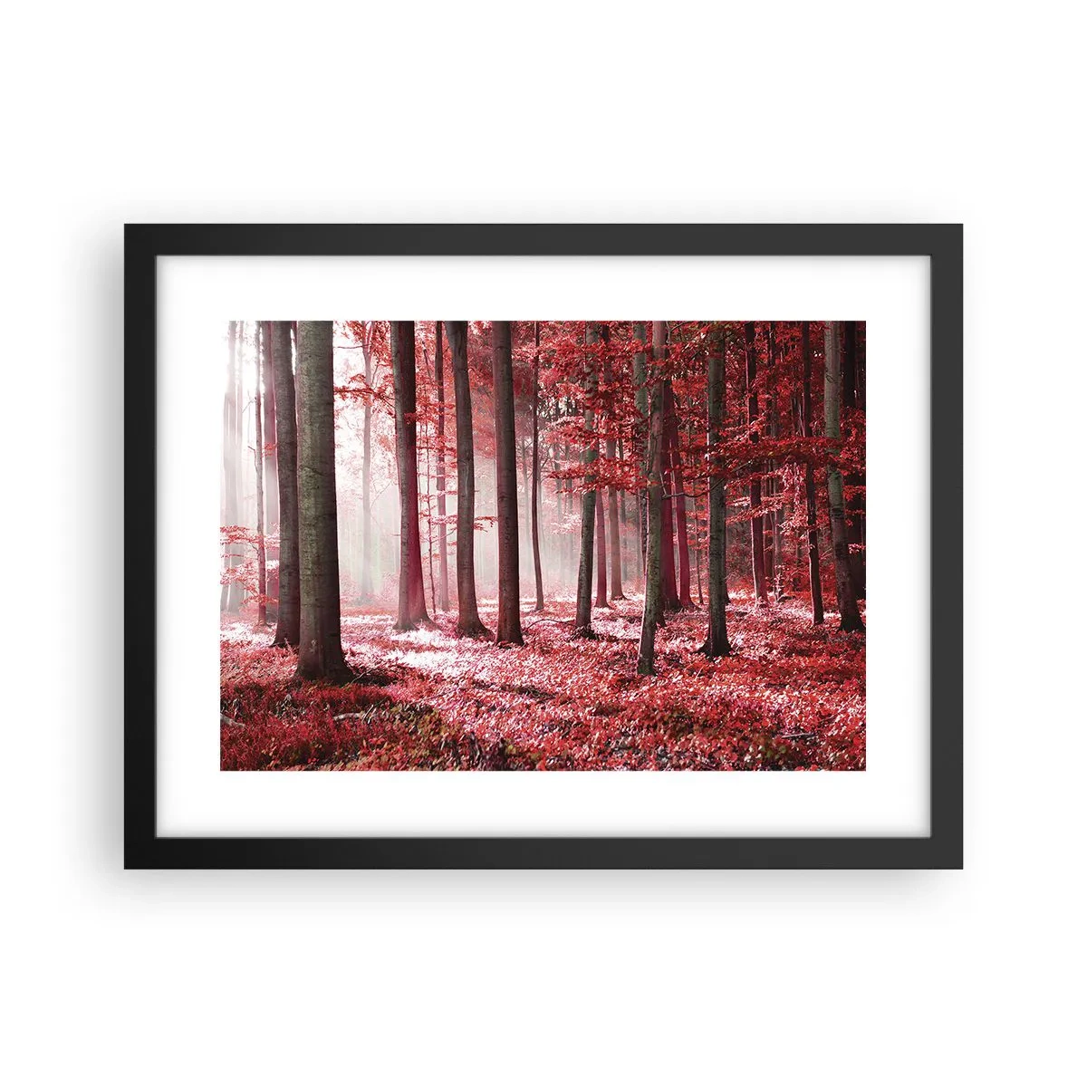 Pôster com moldura preta - O vermelho também é belo - 40x30 cm