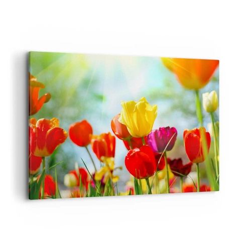 Quadro em tela - Todas as cores do sol - 100x70 cm