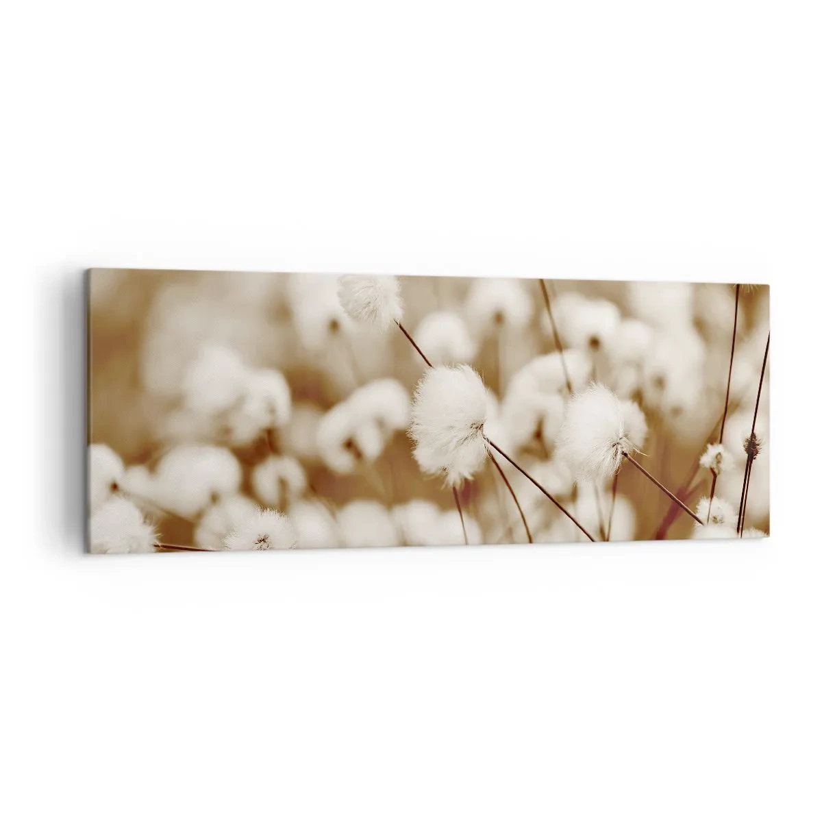 Quadro em tela - Campos felpudos - 140x50 cm