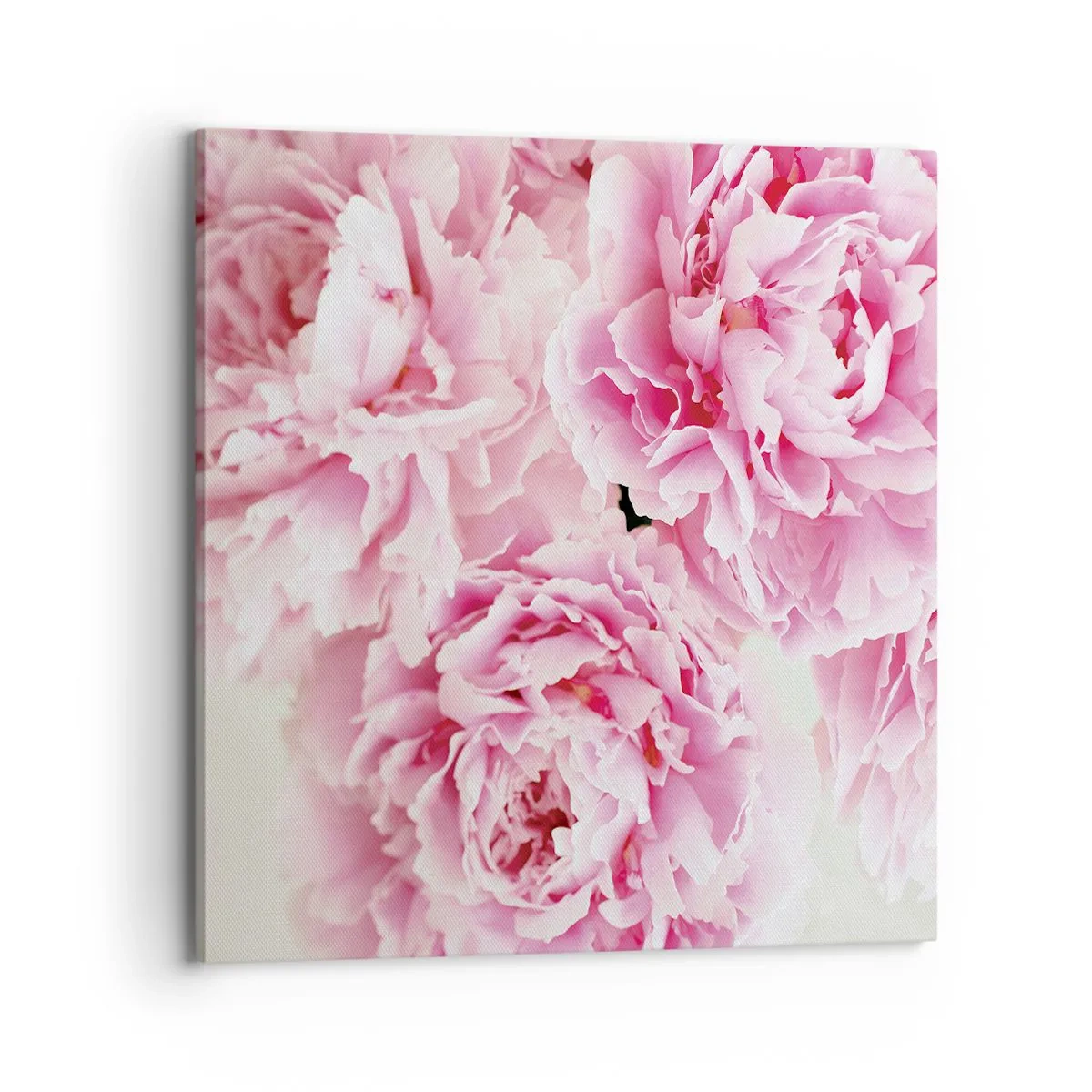 Quadro em tela - Em esplendor rosa - 70x70 cm