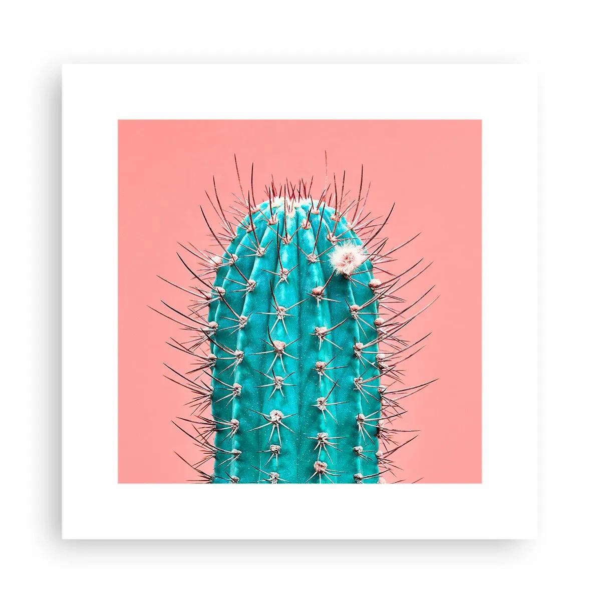 Pôster - Apenas olhe - 30x30 cm