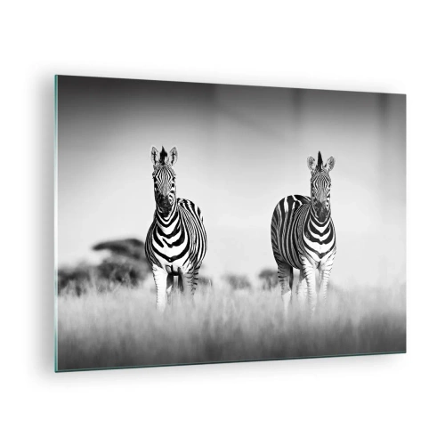 Quadro em vidro - Um par de zebras em um fundo de grama preta e branca, retratadas em seu habitat natural. - 70x50cm - De fato, o mundo é a preto e branco - Decoração de parede moderna para a sala de estar e quarto ARTTOR