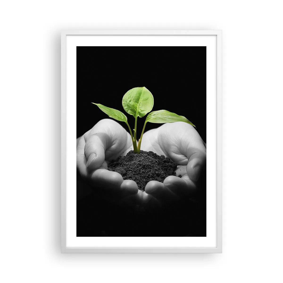 Pôster em moldura branca - Eu amo a natureza, eu a protejo - 50x70 cm