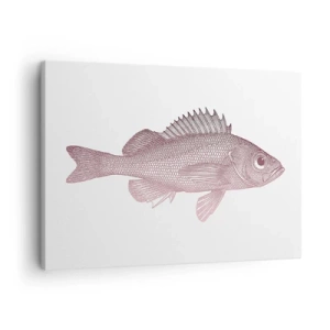 Quadro em tela - Ilustração detalhada de um peixe em um fundo branco - 70x50cm - Peixe de olhos grandes - Decoração de parede moderna para a sala de estar e quarto ARTTOR