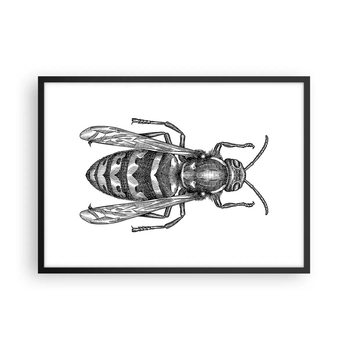Pôster com moldura preta - De um planeta de insetos - 70x50 cm