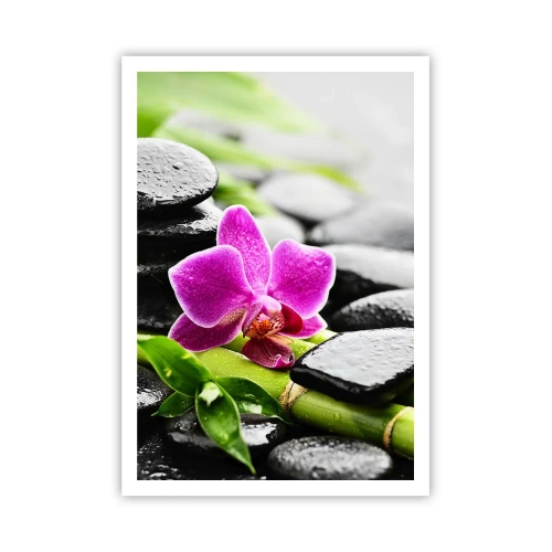 Pôster - Calmo equilíbrio - 70x100 cm