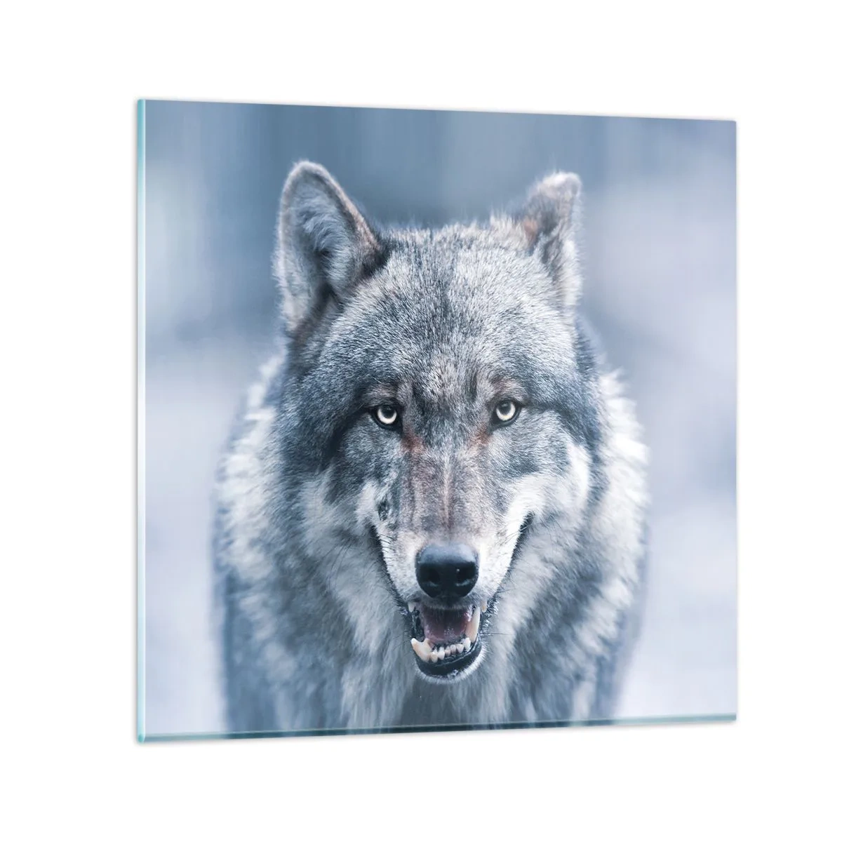 Quadro em vidro - Vai aceitar o desafio? - 70x70 cm