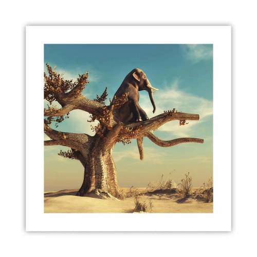 Pôster - Um novo ponto de vista - 40x40 cm