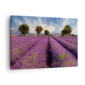 Quadro em tela - Um campo de lavanda com árvores tendo como pano de fundo montanhas e céu - 70x50cm - Prados de lavanda - Decoração de parede moderna para a sala de estar e quarto ARTTOR