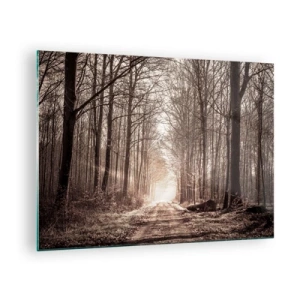 Quadro em vidro - Estrada florestal na neblina da manhã - 70x50cm - Catedral na Floresta - Decoração de parede moderna para a sala de estar e quarto ARTTOR
