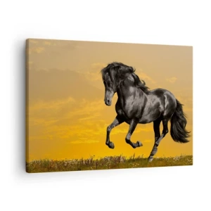 Quadro em tela - Um cavalo preto galopa tendo como pano de fundo um pôr do sol dourado. - 70x50cm - Belo, livre e selvagem - Decoração de parede moderna para a sala de estar e quarto ARTTOR