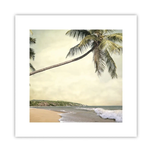 Pôster - Sonho tropical - 30x30 cm
