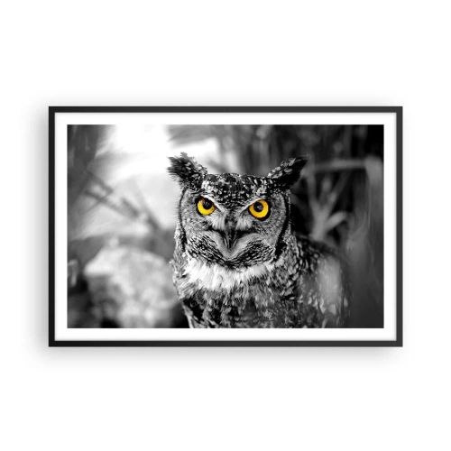 Pôster com moldura preta - Nada pode ser escondido - 91x61 cm