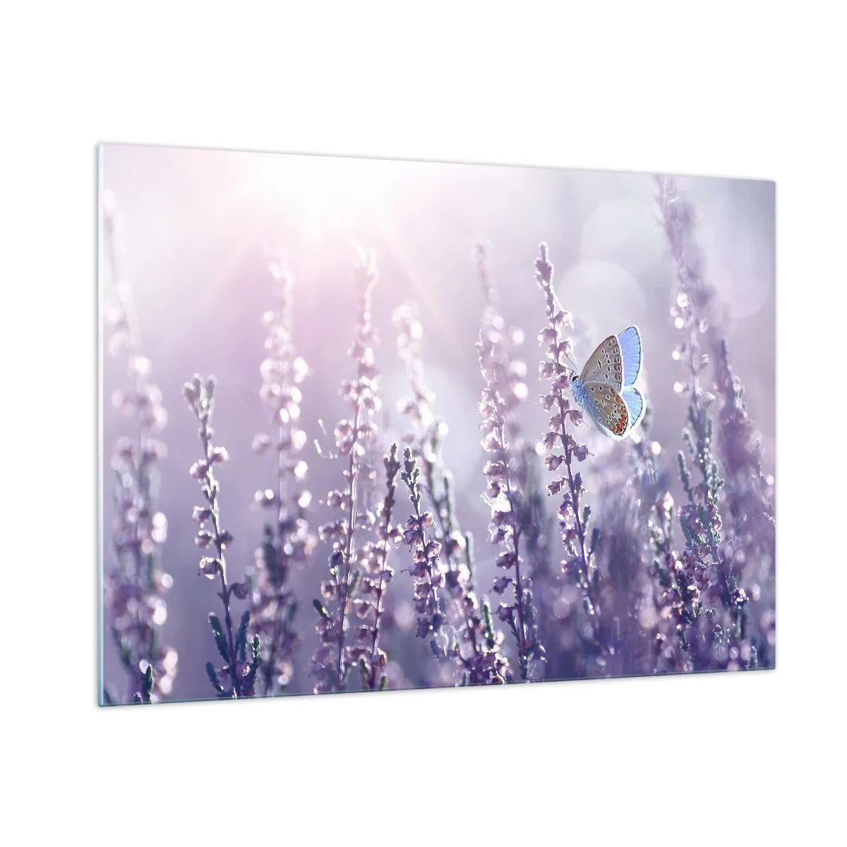Quadro em vidro - O beijo da borboleta - 100x70 cm