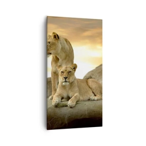 Quadro em tela - Majestade real - 55x100 cm