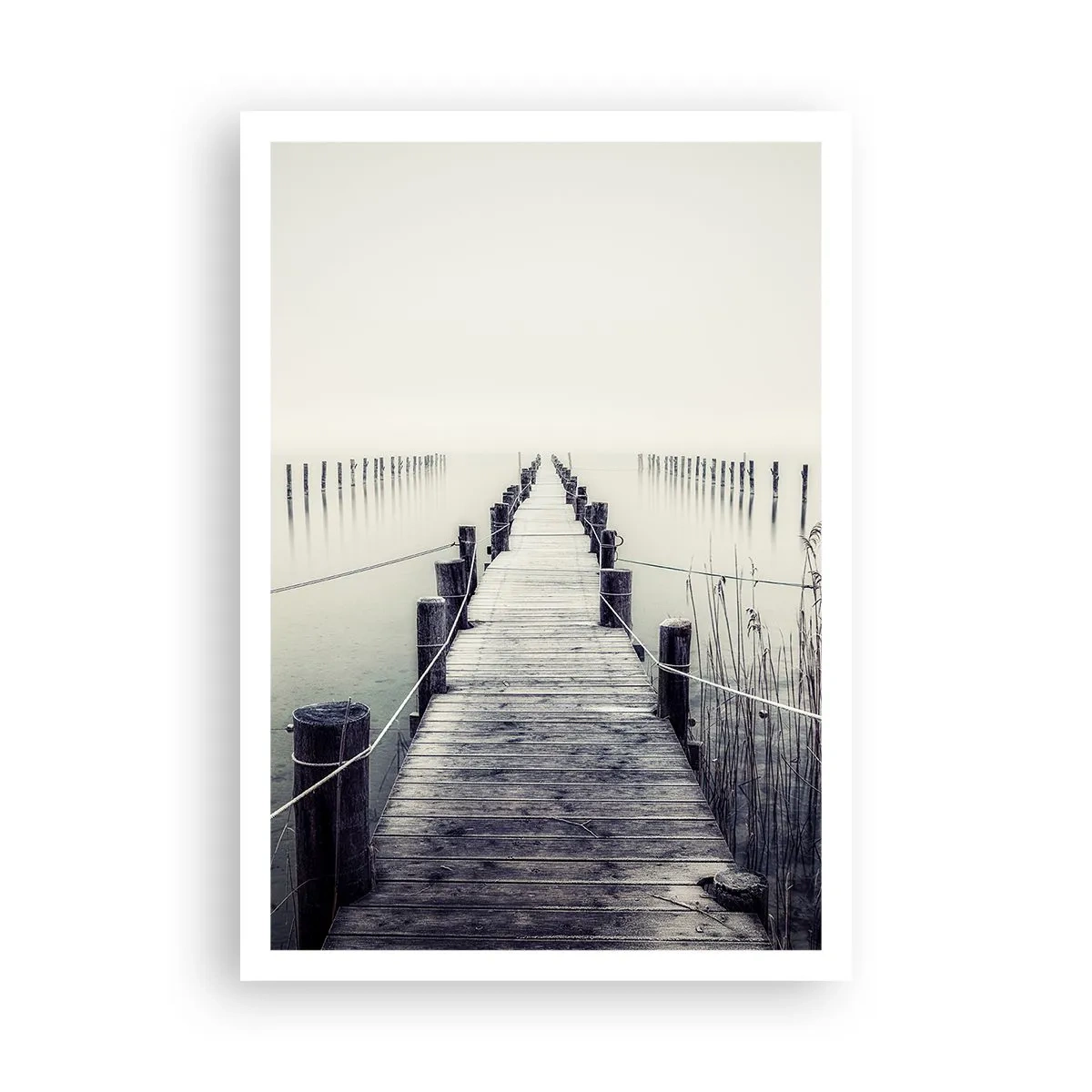 Pôster - Mergulhe em paz - 70x100 cm