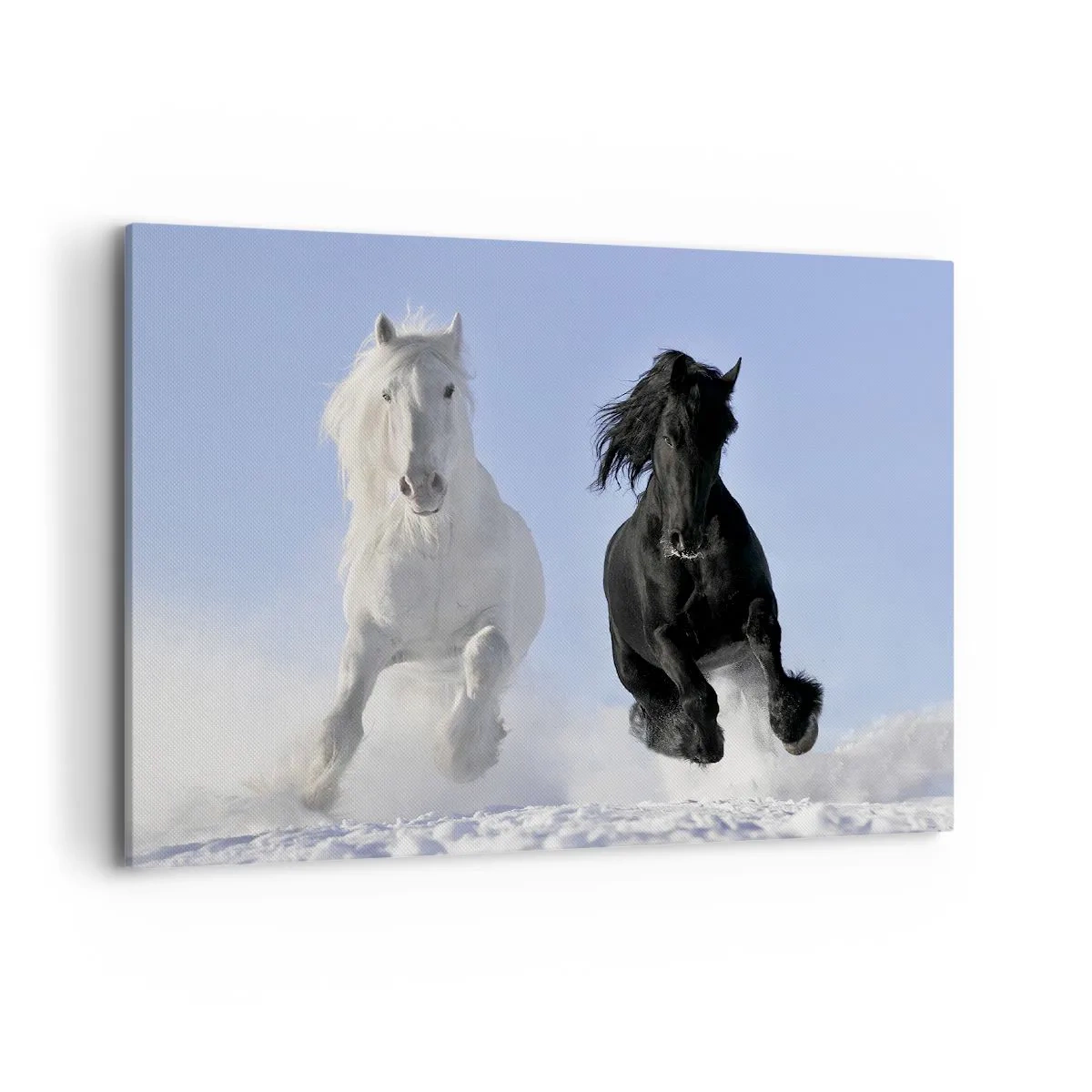 Quadro em tela - Galope preto e branco - 100x70 cm