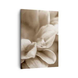 Quadro em tela - Gentil como um sorriso - 50x70 cm