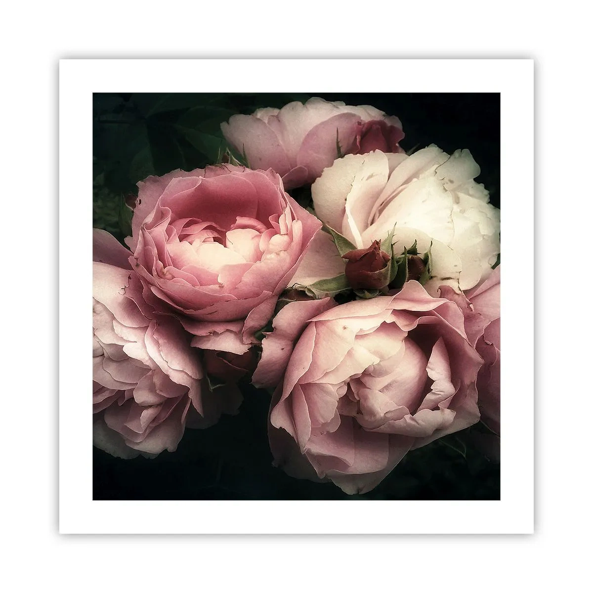 Pôster - O encanto da belle epoque - 50x50 cm