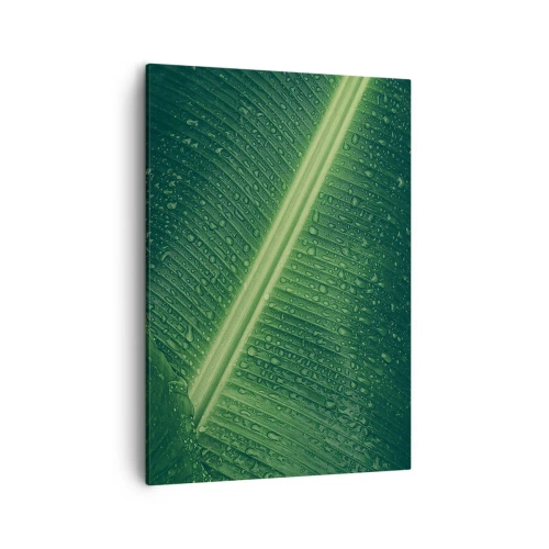 Quadro em tela - A estrutura da vegetação - 50x70 cm