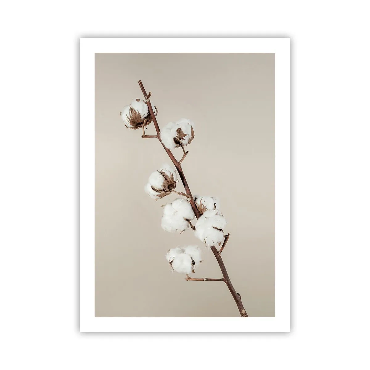 Pôster - Na fonte da suavidade - 50x70 cm