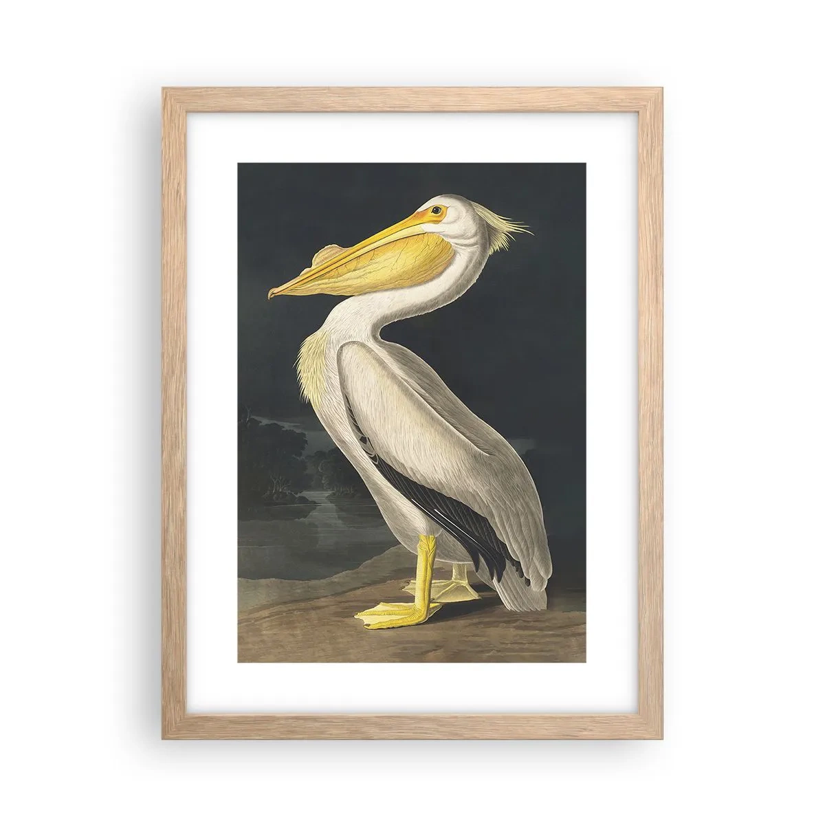 Pôster com moldura de carvalho claro - Cheio de orgulho - 30x40 cm