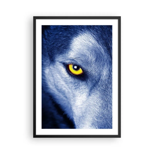 Pôster com moldura preta - Um close do olho amarelo de um lobo em um tom azul - 50x70cm - Olhar hipnotizante - Decoração de parede moderna para a sala de estar e quarto ARTTOR