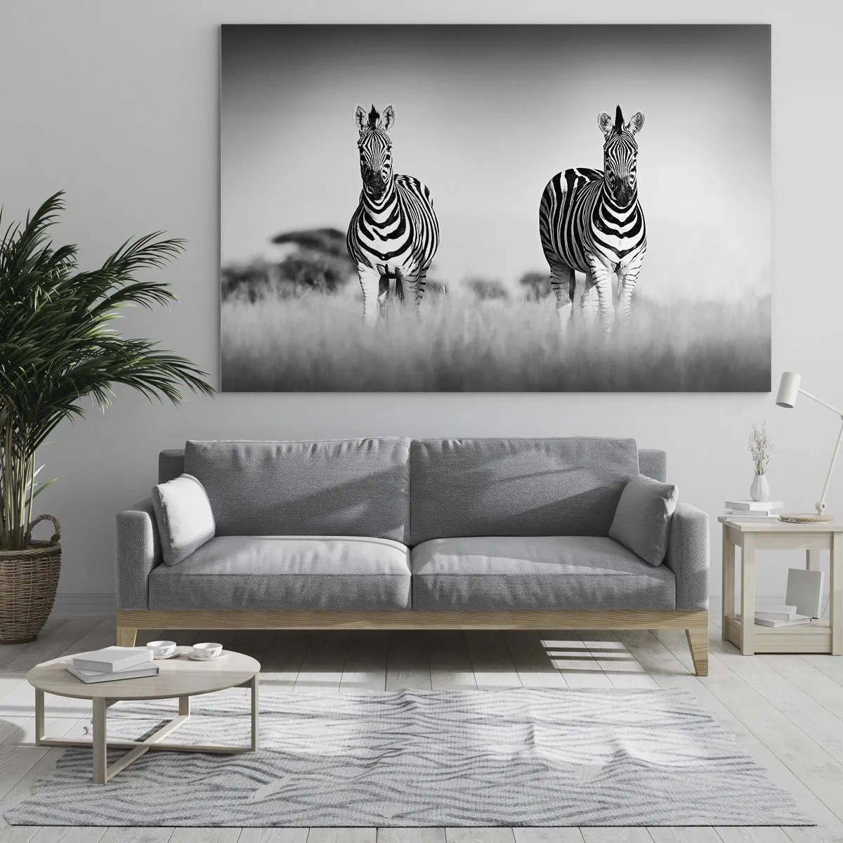 Quadro em vidro - Um par de zebras em um fundo de grama preta e branca, retratadas em seu habitat natural. - 70x50cm - De fato, o mundo é a preto e branco - Decoração de parede moderna para a sala de estar e quarto ARTTOR