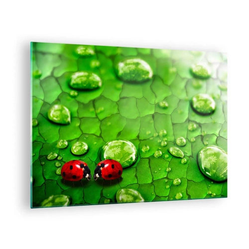 Quadro em vidro - Duas joaninhas em uma folha verde com gotas de água - 70x50cm - Reunião em verde - Decoração de parede moderna para a sala de estar e quarto ARTTOR