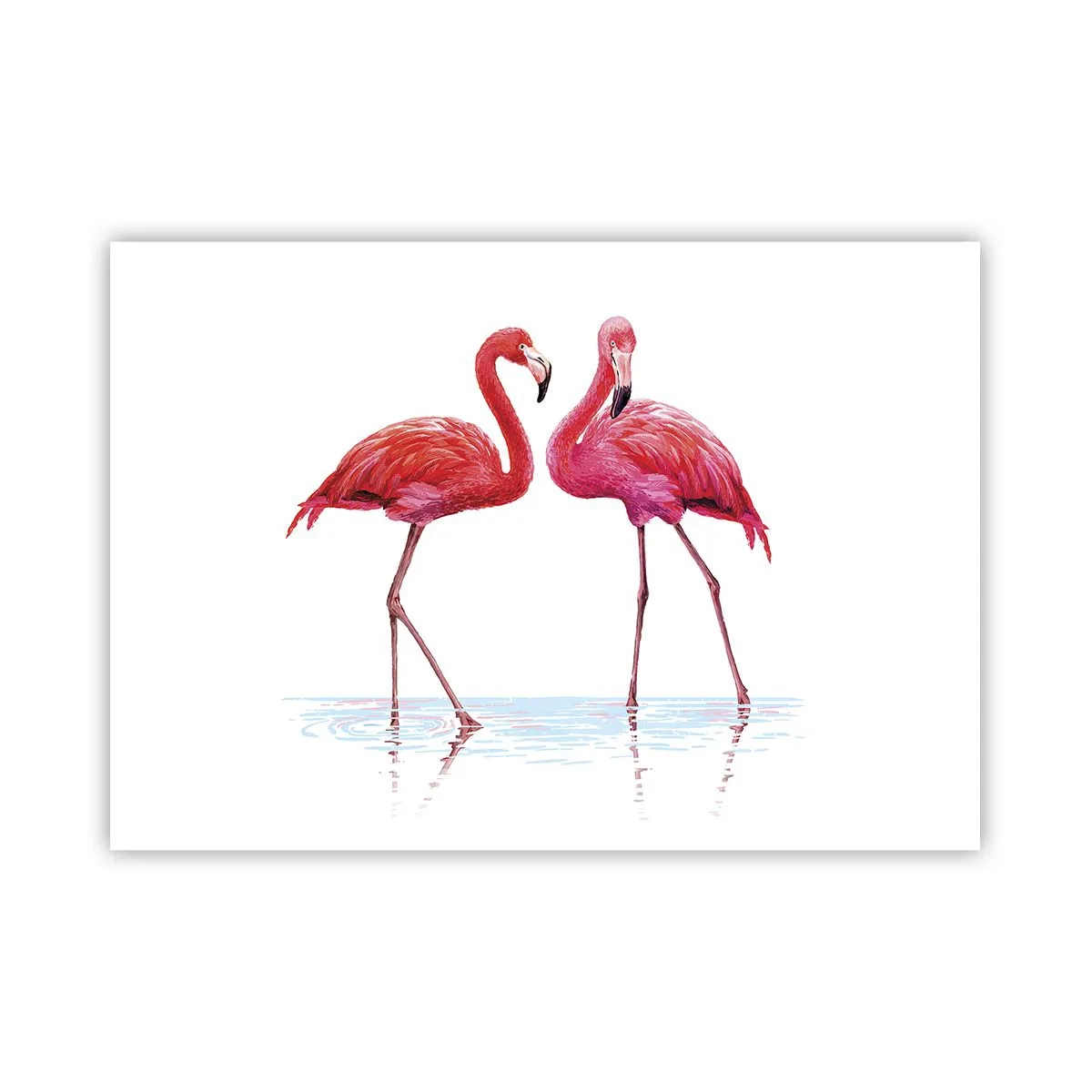 Pôster - Rosa randez-vous - 100x70 cm