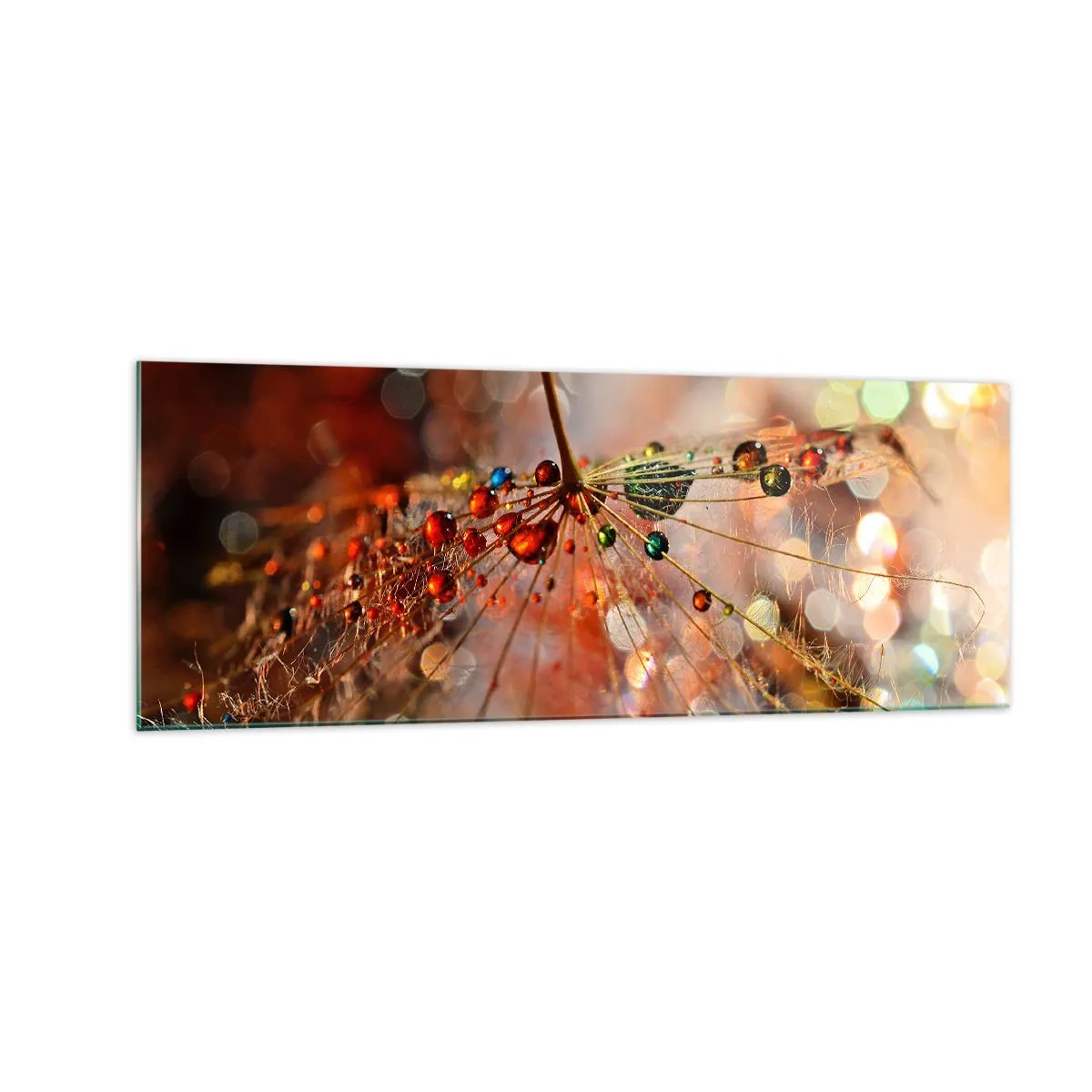 Quadro em vidro - Enroscado numa teia de aranha - 140x50 cm