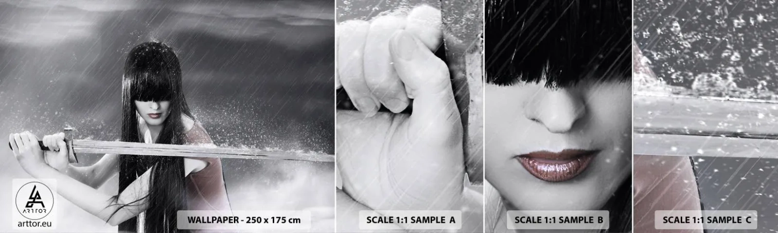 Amostra de Papel de Parede Standard Eco - Bonita e perigosa - Mulher, Espada, Militares - 100x30 cm