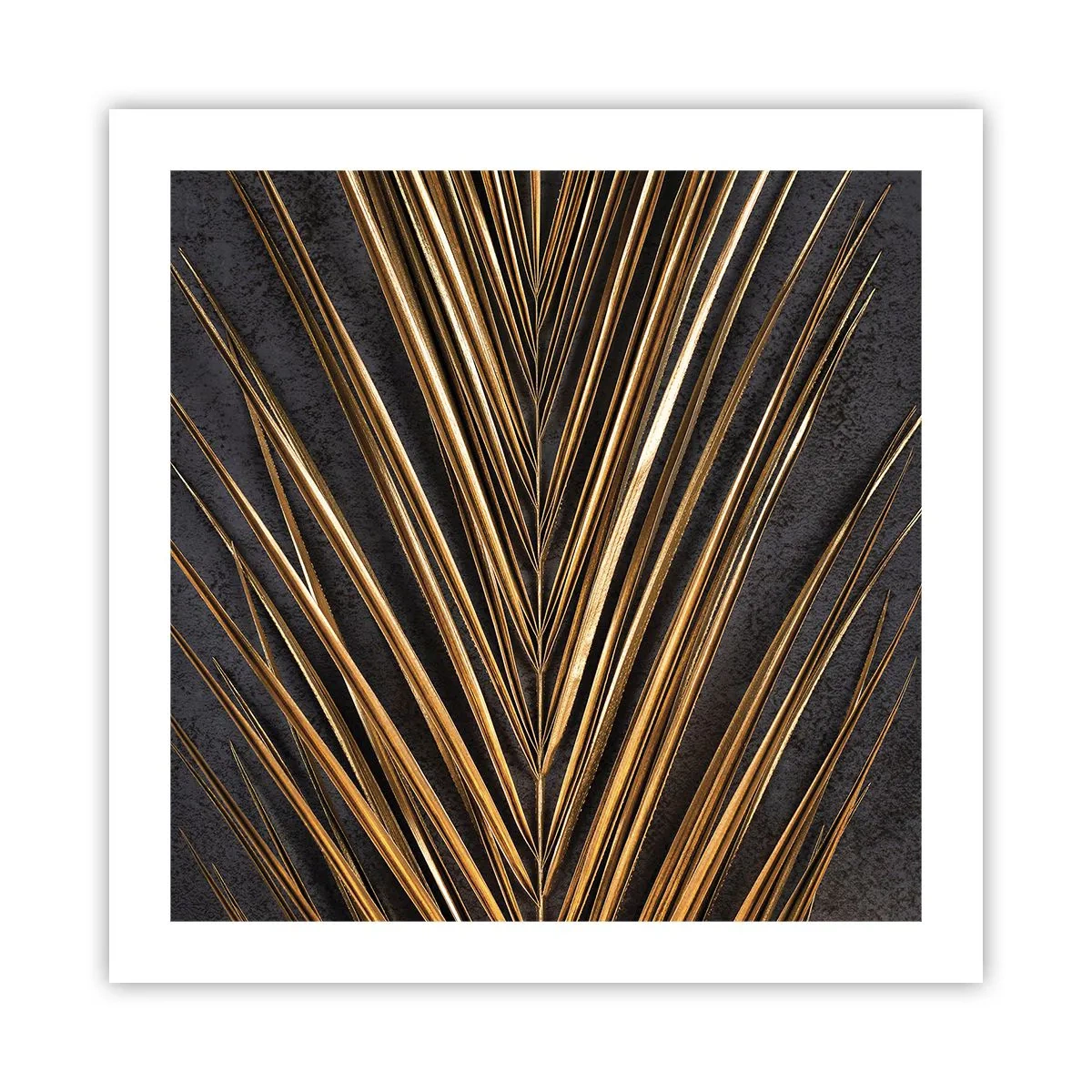 Pôster - Ouro dos trópicos - 50x50 cm