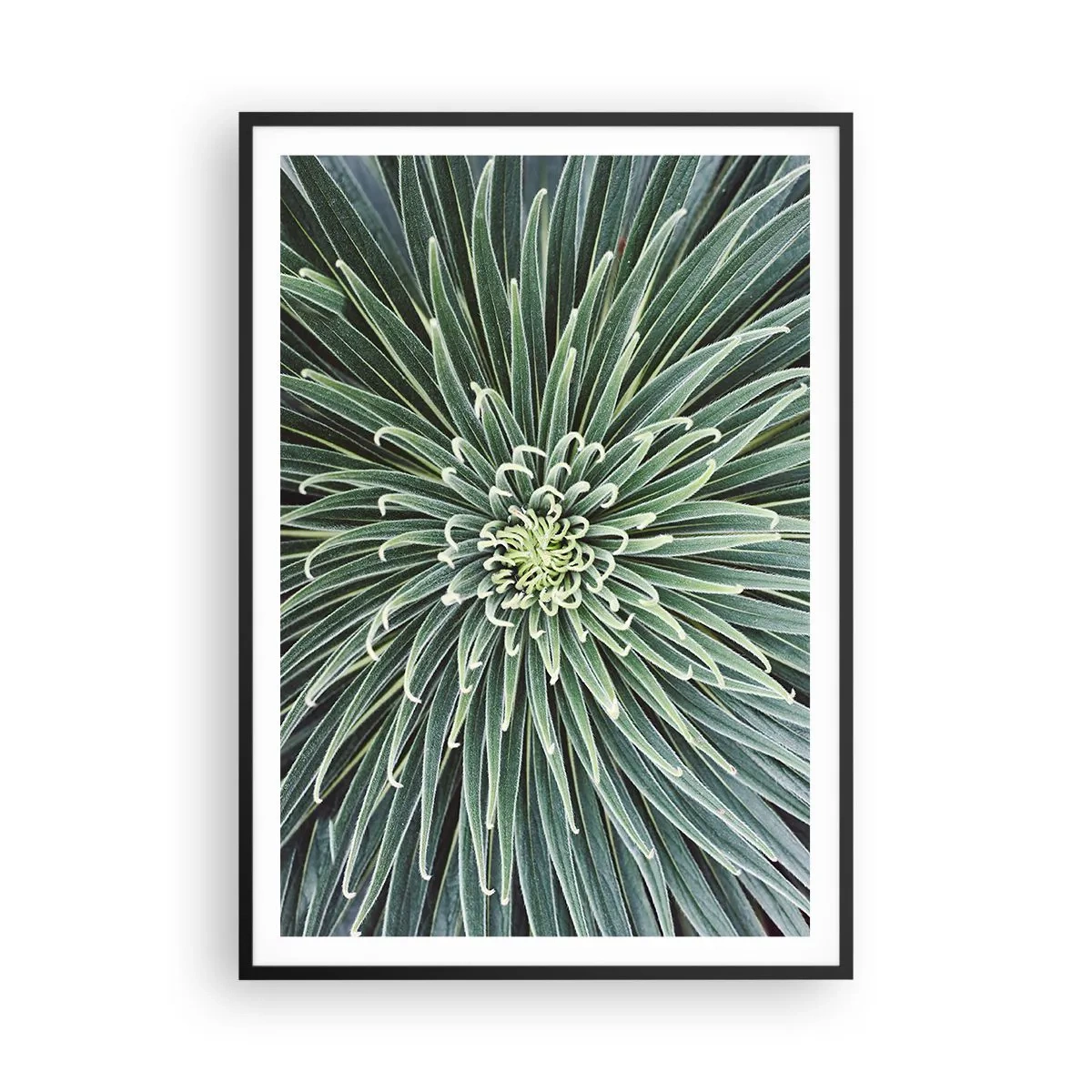 Pôster com moldura preta - Nasce uma estrela - 70x100 cm