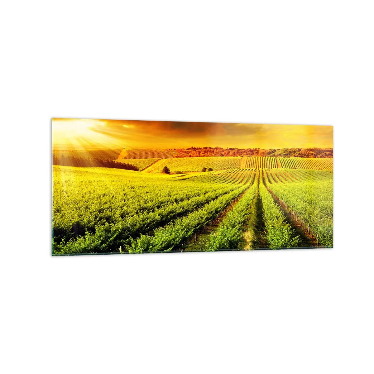 Quadro em vidro - Sob o sol australiano - 120x50 cm