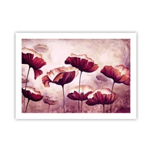 Pôster - Pétala vermelha e branca - 70x50 cm