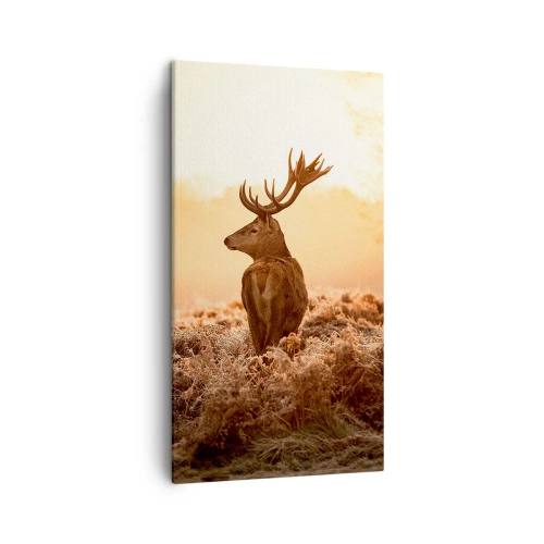 Quadro em tela - O senhor da propriedade - 45x80 cm