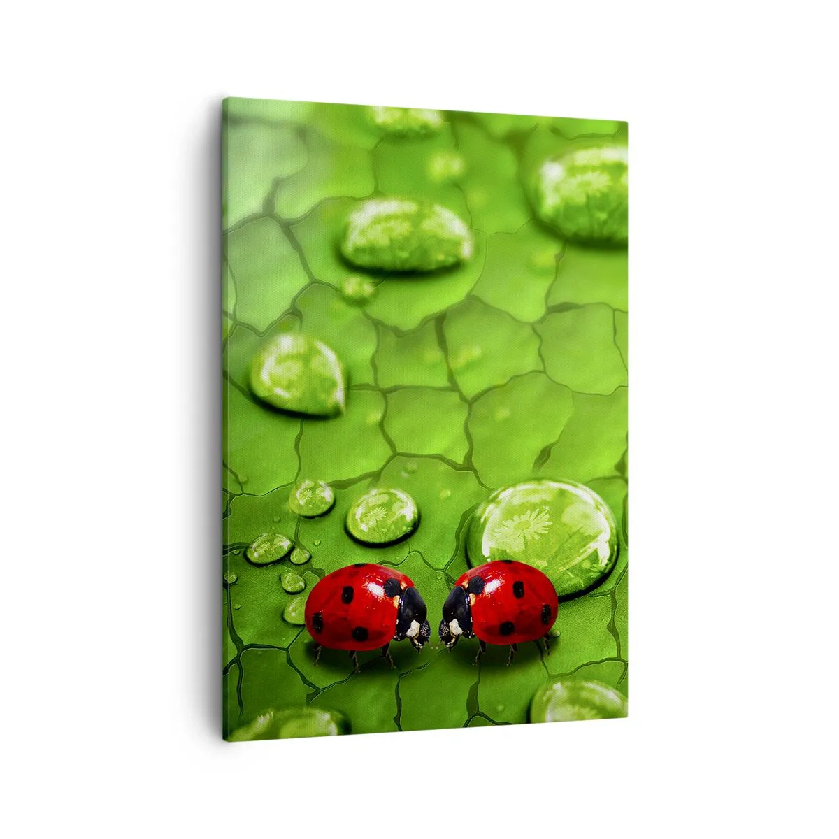 Quadro em tela - Reunião em verde - 50x70 cm