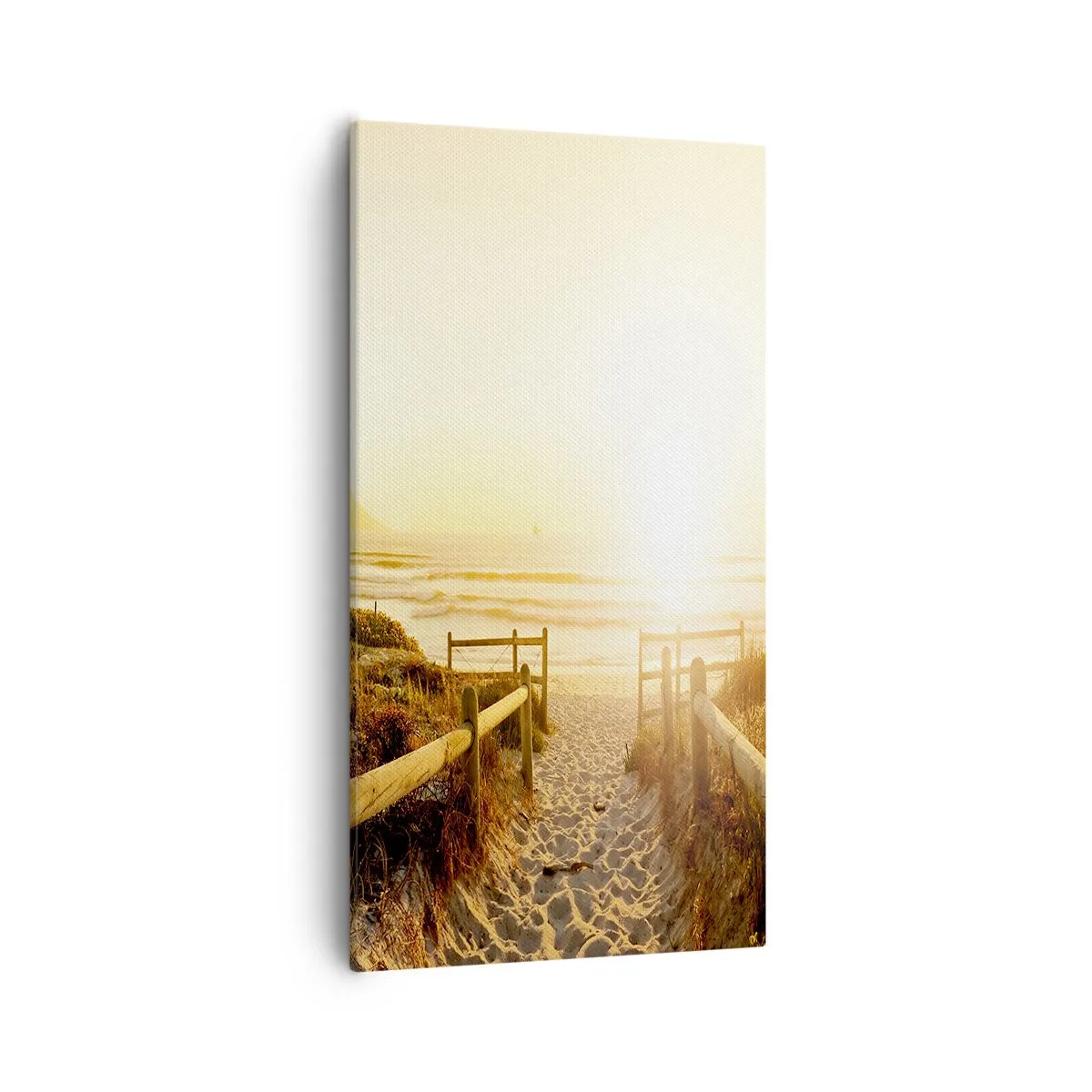 Quadro em tela - Pelaa duna, em direção ao sol - 55x100 cm