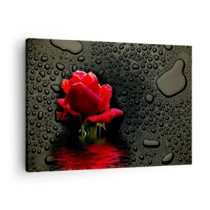 Quadro em tela - Rosa vermelha com gotas de água em um fundo escuro - 70x50cm - Vermelho e preto - Decoração de parede moderna para a sala de estar e quarto ARTTOR