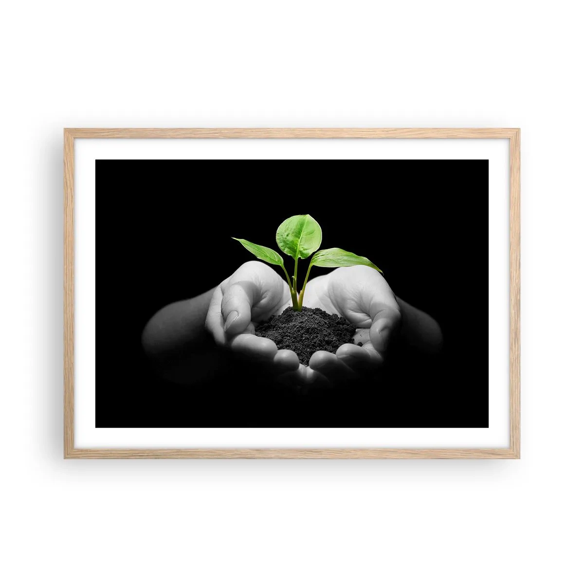 Pôster com moldura de carvalho claro - Eu amo a natureza, eu a protejo - 70x50 cm